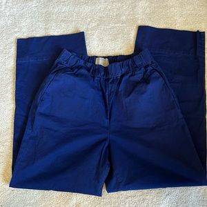 Everlane wide leg pant. Size: 6. Color: deep blue. EUC. SF home